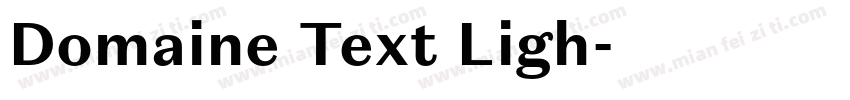 Domaine Text Ligh字体转换